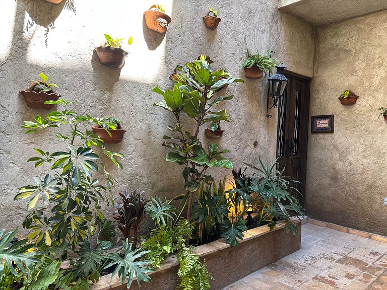 Napoleone 152: L'Eleganza a Val'Quirico!