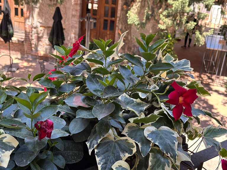 Carrara: Harmonia, Luxo e Conforto em Val’Quirico