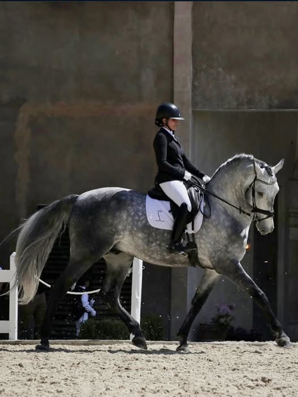 ¡DRESSAGE EN ESTADO PURO! VIVE LA MAESTRÍA ECUESTRE EN VAL'QUIRICO