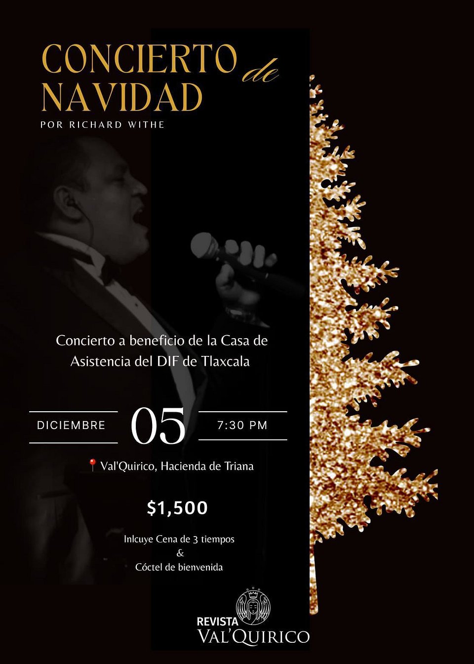 🎄Una Noche Mágica de Esperanza: Concierto Navideño Benéfico - Viernes, diciembre 5🎁